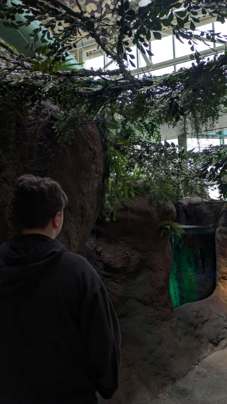  A 13 year old in a zoo 