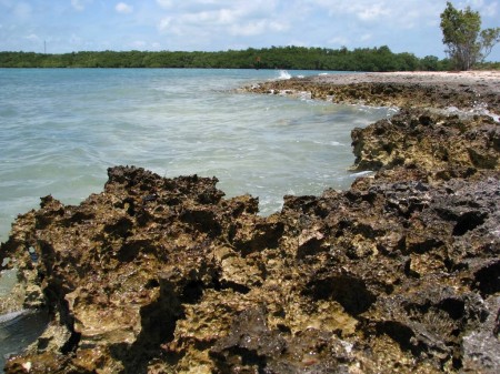 a beach filled with limestone